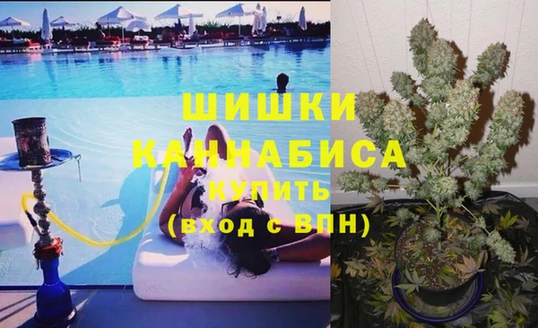PSILOCYBIN Аркадак