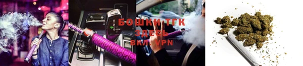 PSILOCYBIN Аркадак