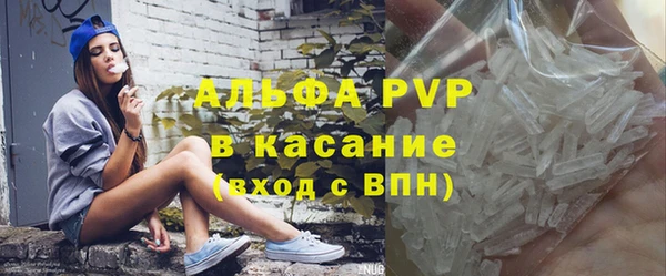 PSILOCYBIN Аркадак